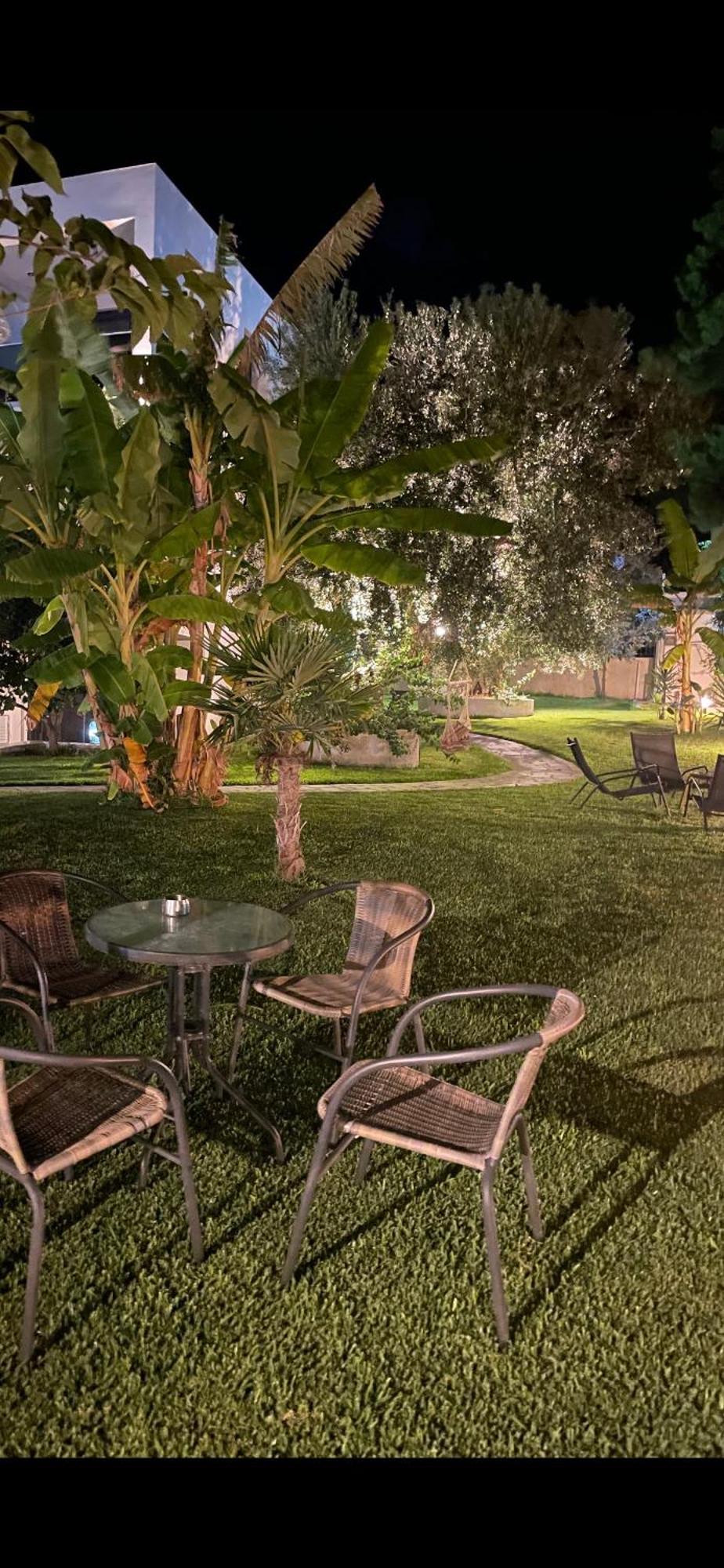 מולה קליבה Mola Papaya Studios מראה חיצוני תמונה